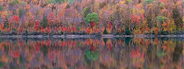 Upson Lake Reflection