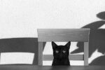 Where Is My Coffee ?