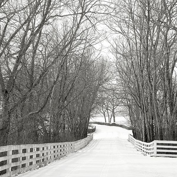 Country Lane in Winter