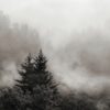 Rising Mist, Smokey Mountains