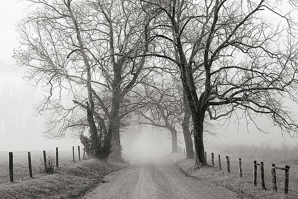 Sparks Lane, Late Autumn