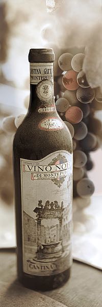 Montepulciano Vineyard #1