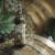 Montepulciano Vineyard #2
