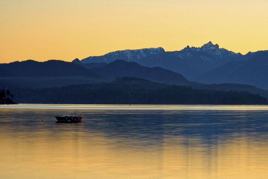 Golden Glow