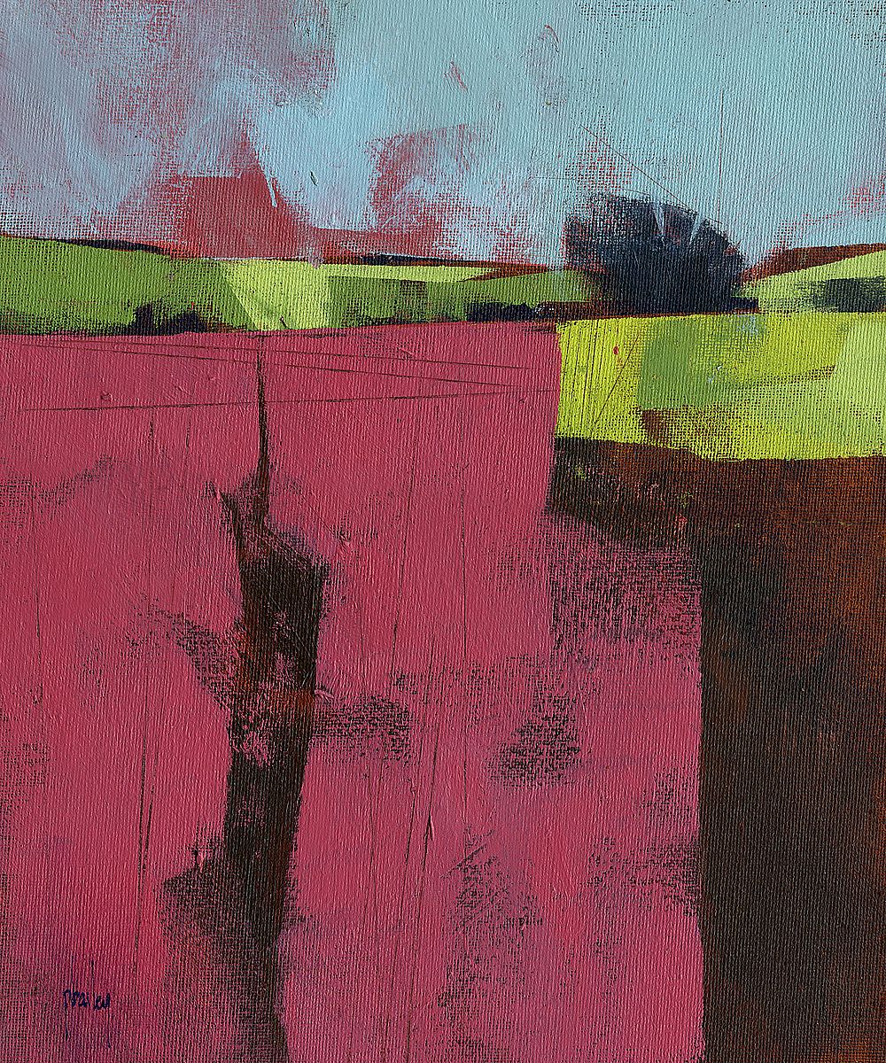Herefordshire Field