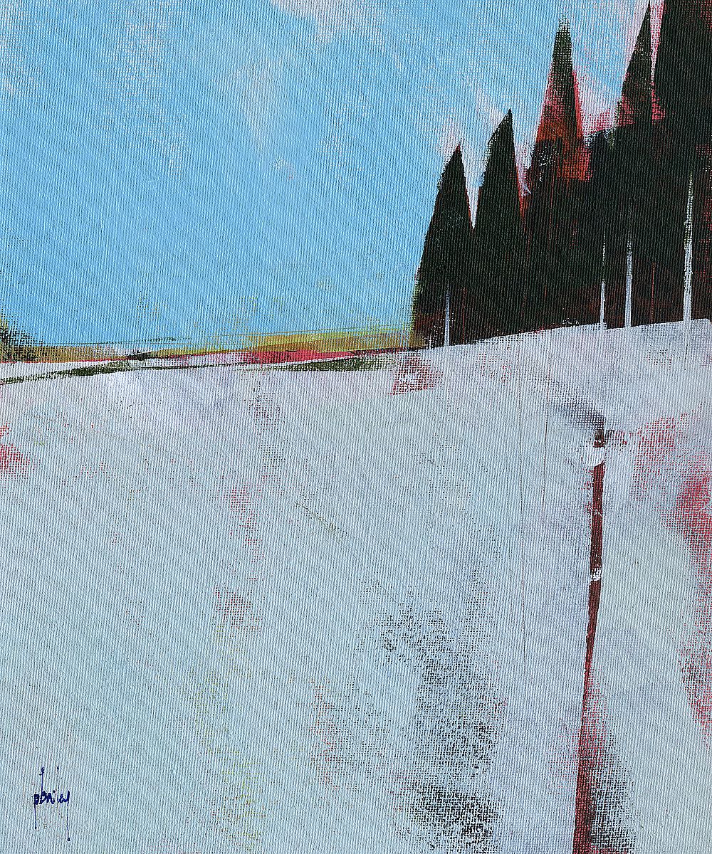 Snow Field