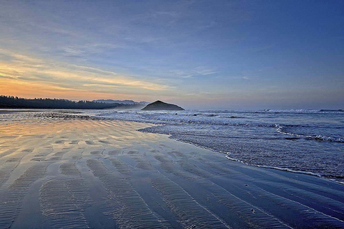 Sandy Shore