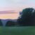 Lawn At Twilight