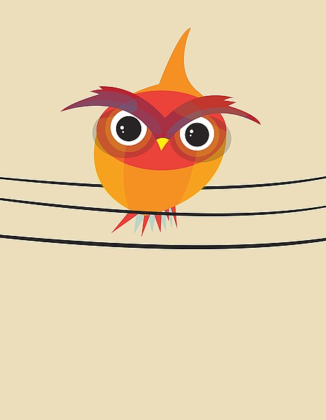 Owl On a Wire