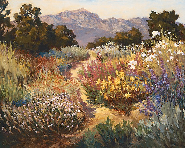 Spring Trails