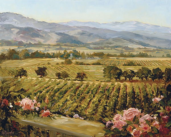 Vineyards to Vaca Mountains
