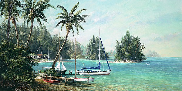 Island Cove
