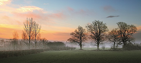 The Mist