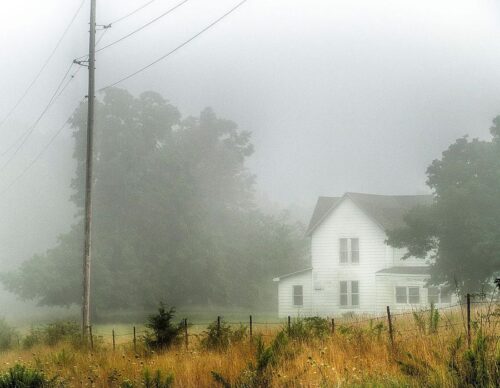 Fog House