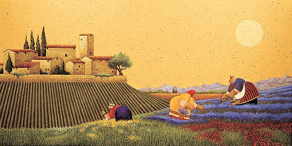 Hillside Flowers