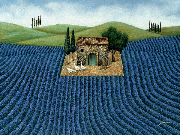 Lavender Field