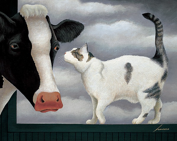 Cow and Cat