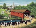 Cows In West Arlington