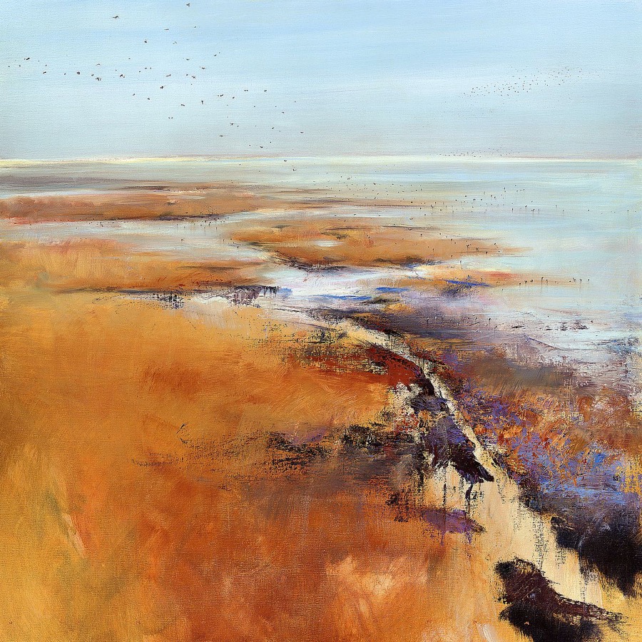 Remembering Terschelling