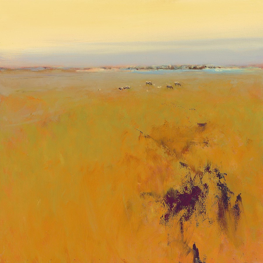 Meadow in Warm Colors