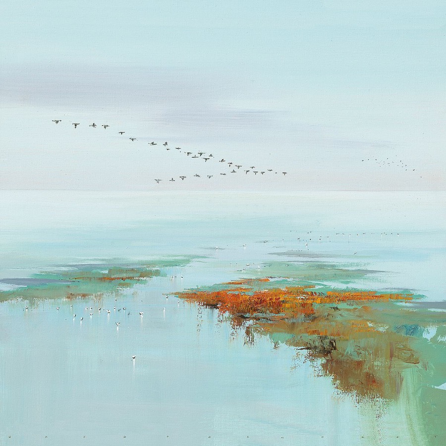 Flying Birds