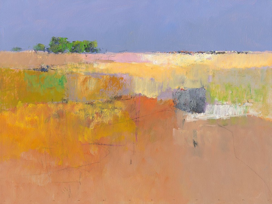 Meadow in Color