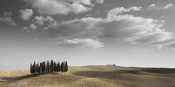 Toscana Landscape