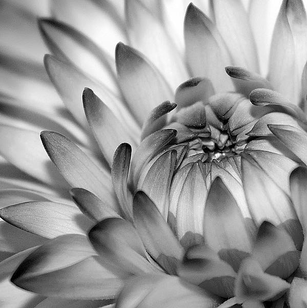 Fibonacci 2