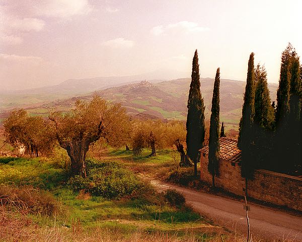 Toscana, italia No.709