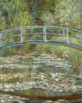 Pond of Water Lilies