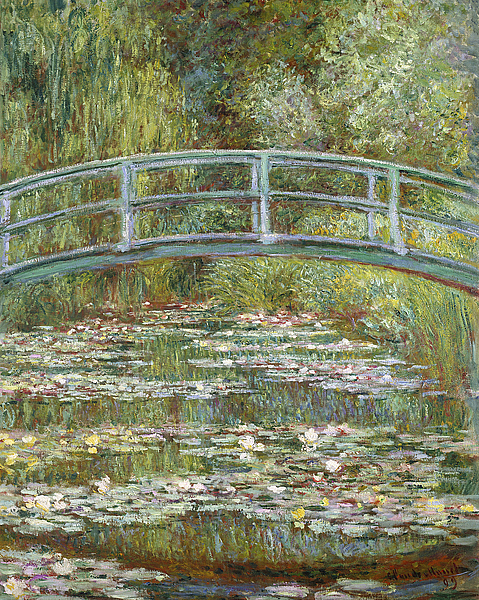 Pond of Water Lilies