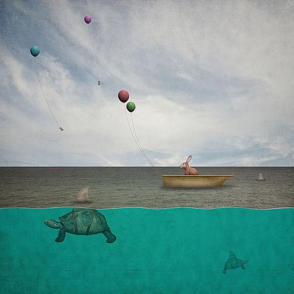 There's Sharks in these Waters