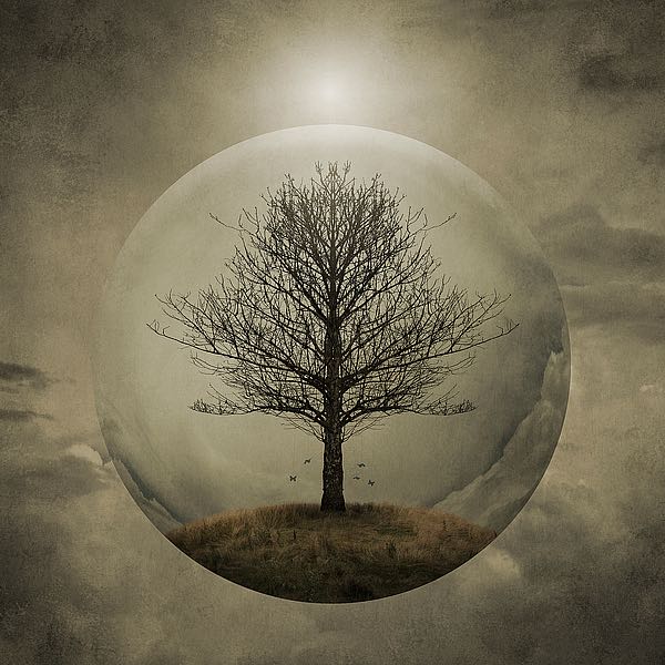 Tree of Life