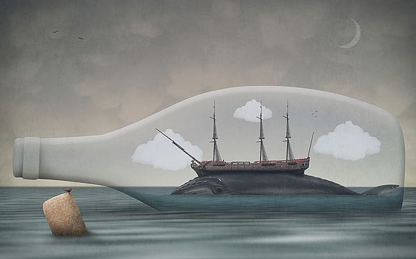 Voyage In a Bottle