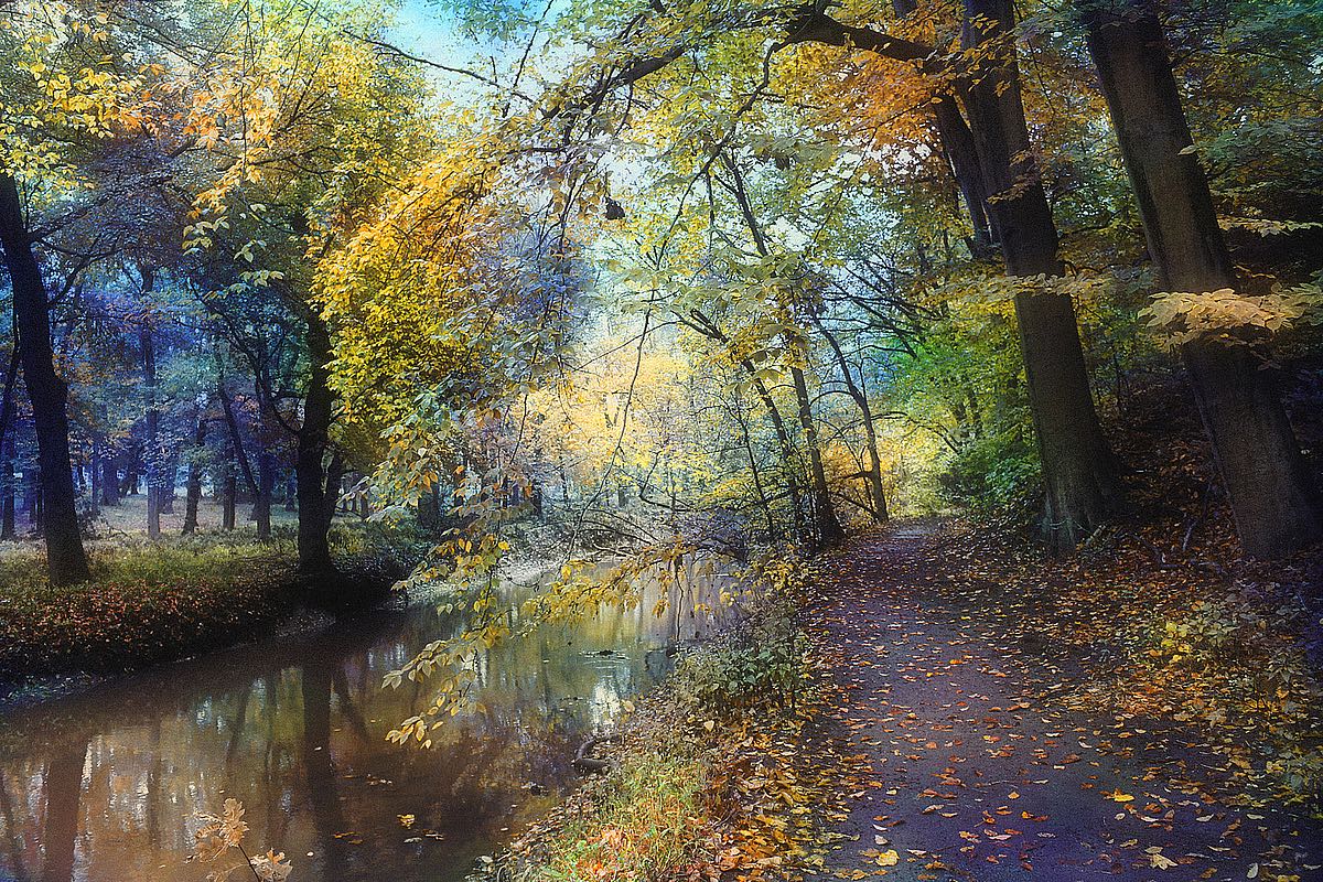 Autumn Walk