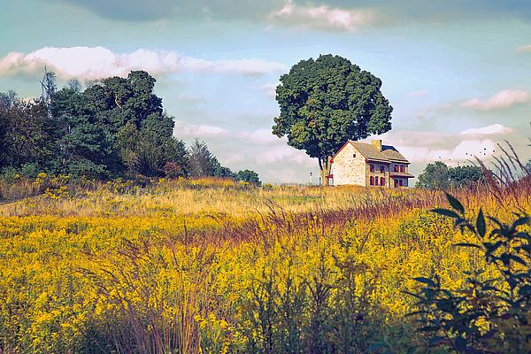House On a Hill