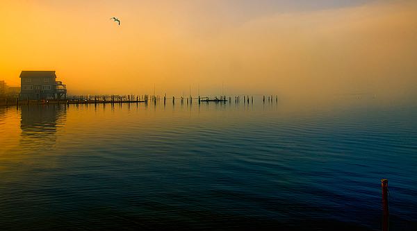Morning Comes on the Bay