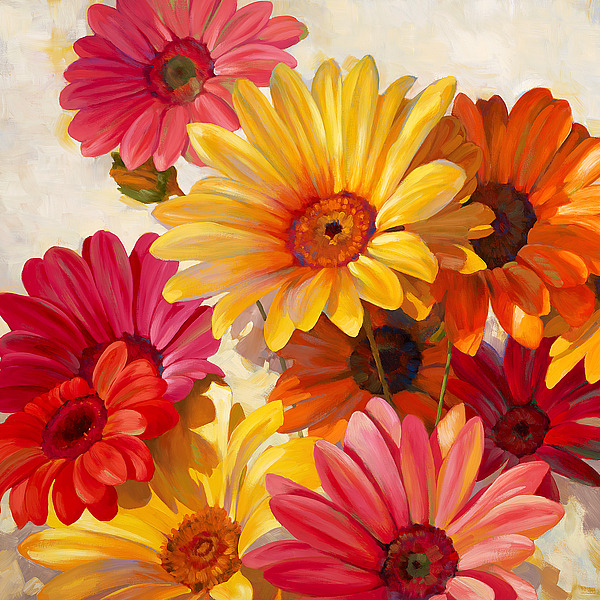 Daisies for Spring
