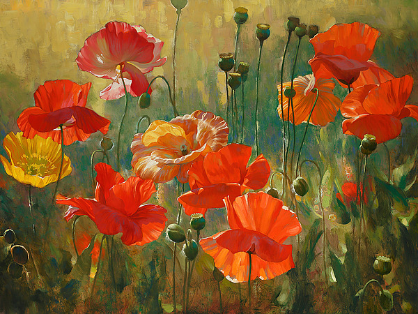 Poppy Fields