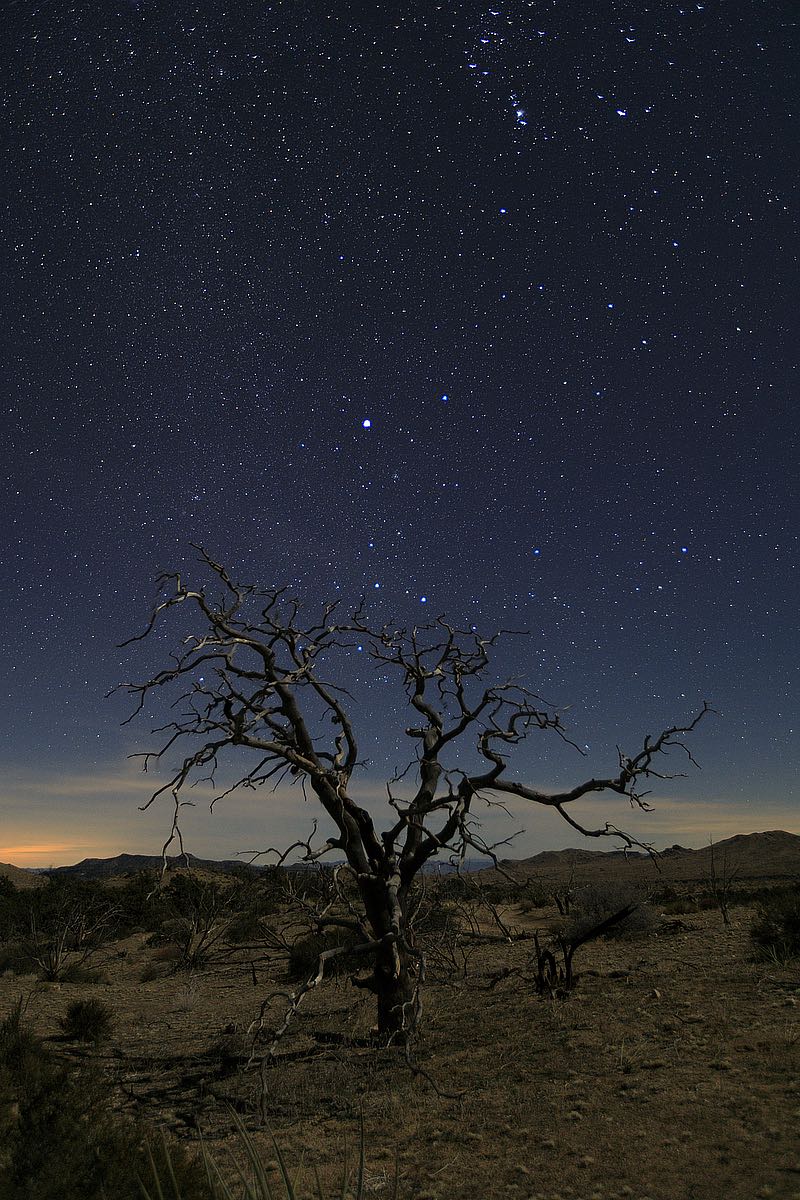 Mohave at Night No. 1