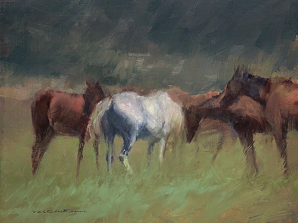 Southern Horses