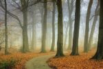 Misty Twisty