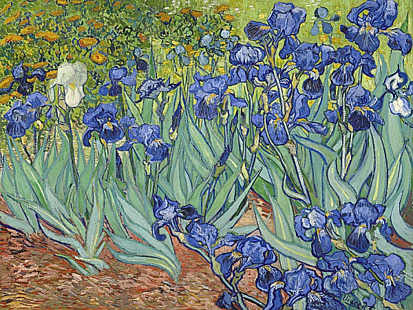 Irises, 1889