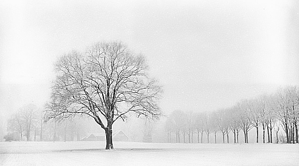 Standing Alone