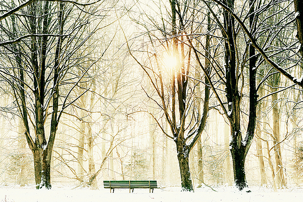 Too Cold to Sit