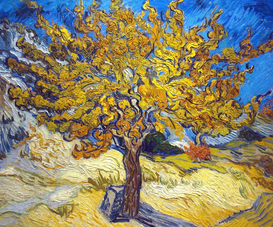 The Mulberry Tree