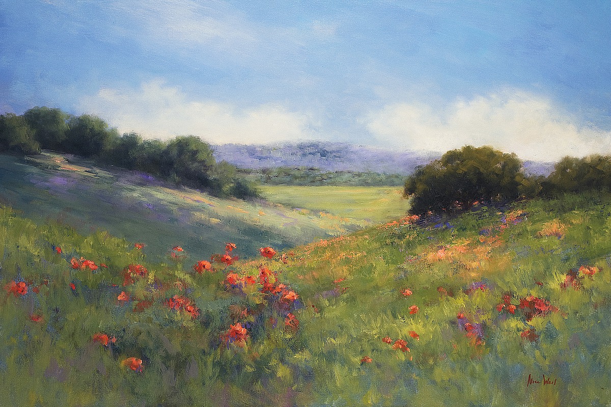 Poppies With a View