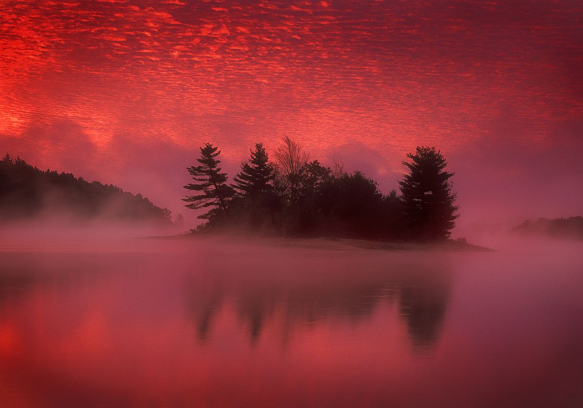 Islands In the Pink