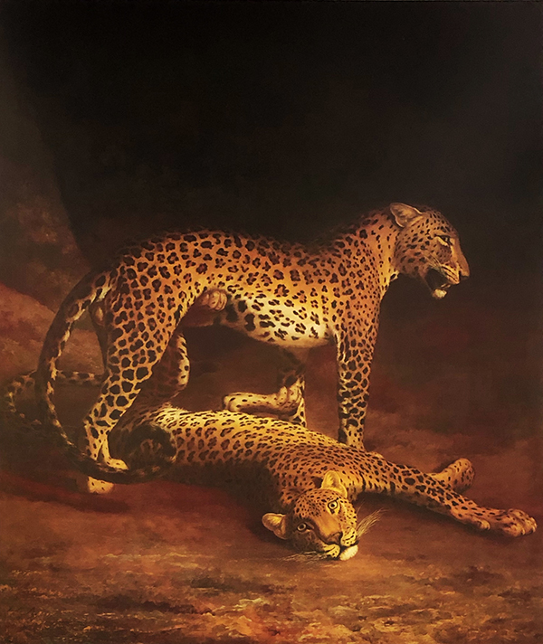 Two  Leopards Playing in the Exeter Change Menagerie