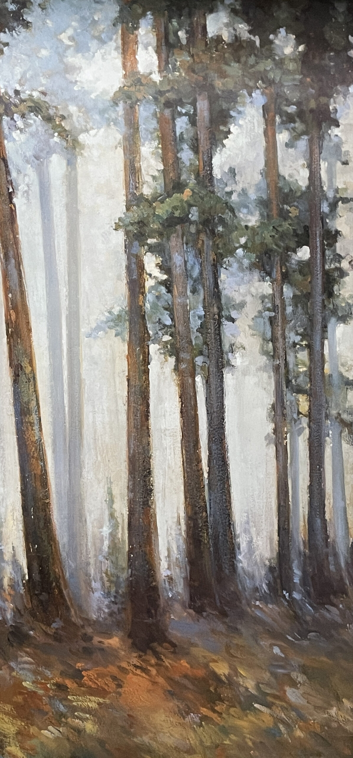Silver Trees II